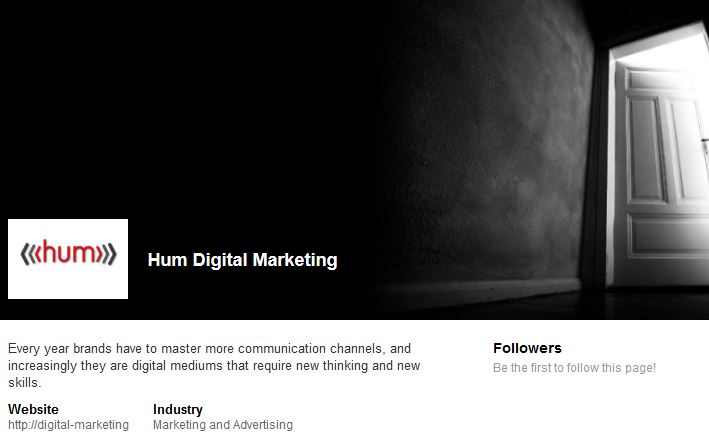 Hum Consulting LinkedIn